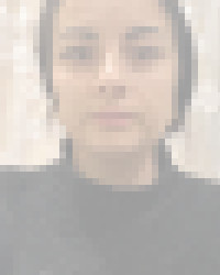 Foto von